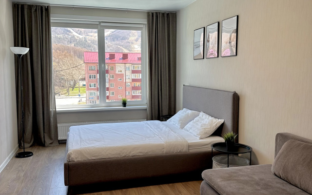 Odnokomnatnaya u Gornogo Vozdukha Flat