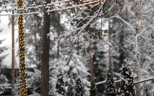 Отель Царство-Королевство