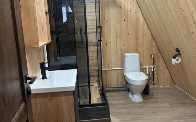 Частный дом A-frame большой