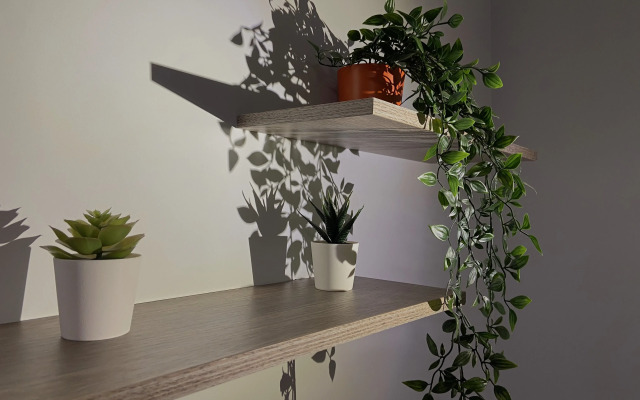 Квартира За Московскими Вратами