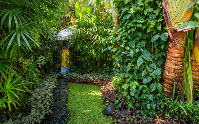 Kupu Rare Secluded Slice Villa