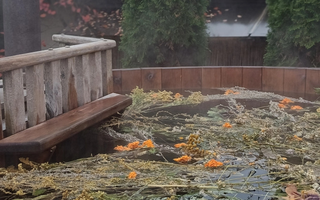 Частный дом с Баней и Купелями