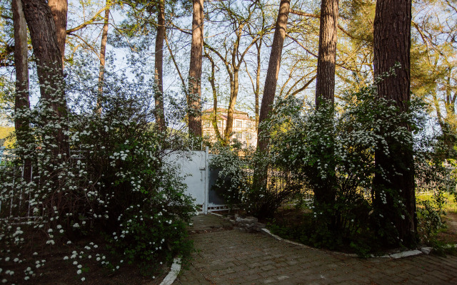 Guest house Usadyba