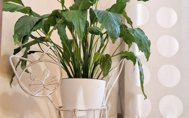 Квартира Микрорайон Солнечный 4