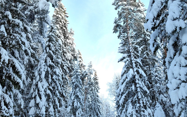 Апартаменты Серебряный Век