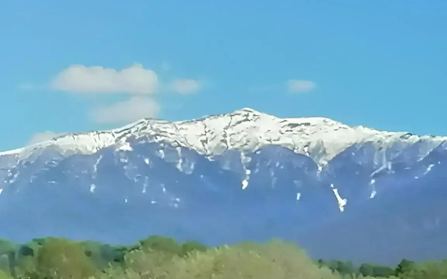 Апартаменты Хаят