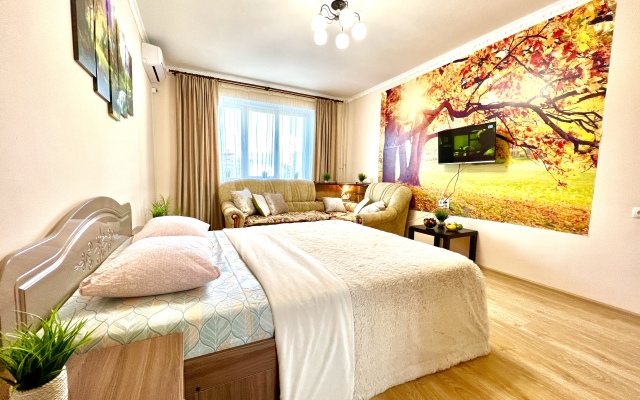 Апартаменты двухкомнатные (на ул.Санфировой, 99)