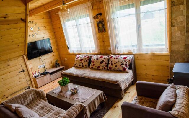 Urban Mansion House in Zabljak Guest House