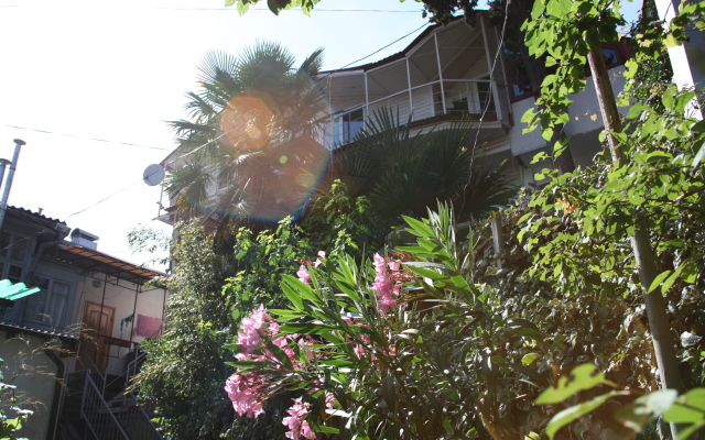 Гостевой Дом Пальма