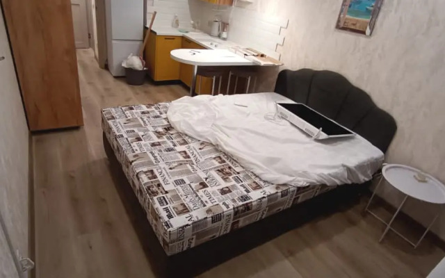 Uyutnaya Studiya Na Vorontsovskom 19 Flat