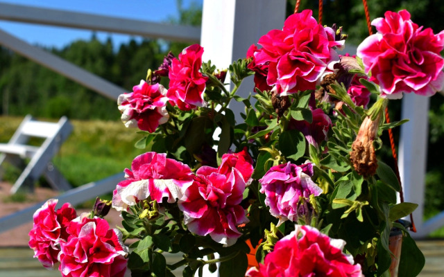 Частный дом Саари