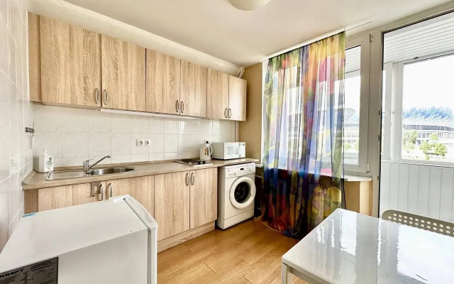Komfortabelnye U Petrovskogo Parka/dinamo Apartments