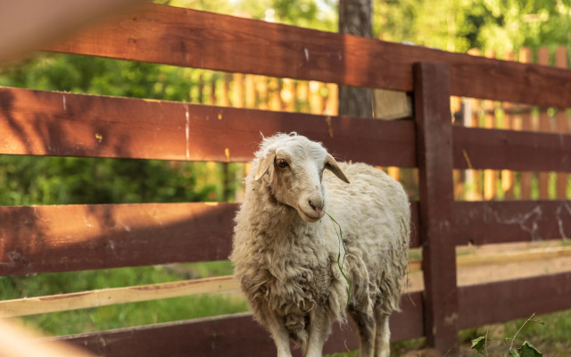 Отель Кумуткан