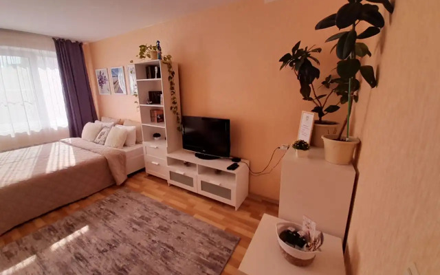 Квартира 1-комнатная