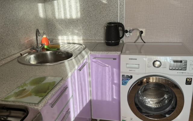 Odnokomnatnaya Khirurga Nechaeva 16 Flat