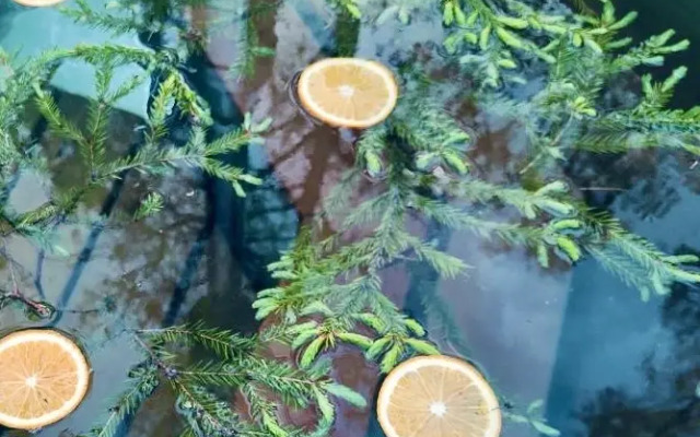 Частный дом С сауной банным чаном и мангалом