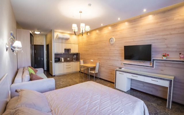 Апартаменты студия с видом на город