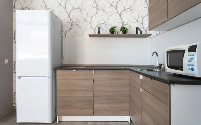 Квартира на улице Державина 47