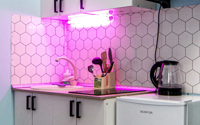 Апартаменты Жуковского 1/2/10 с2 (305)