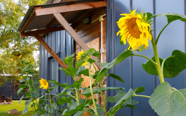 Частный дом Романовское подворье №2