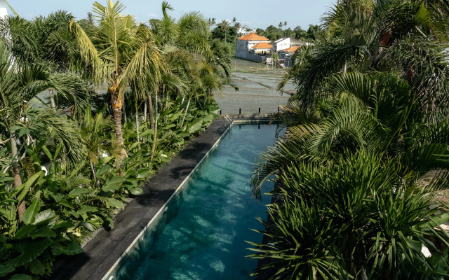 Villa AMO Residence