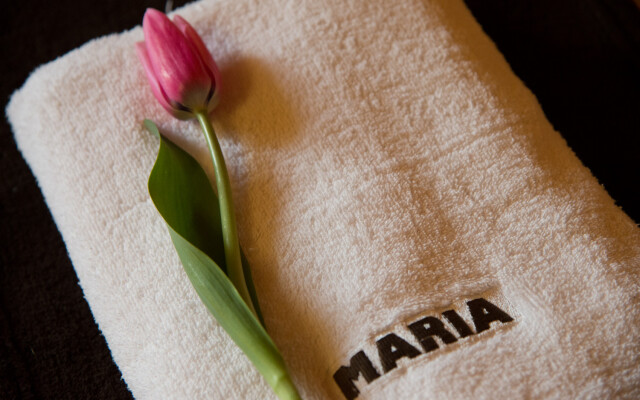 Willa Maria Villa