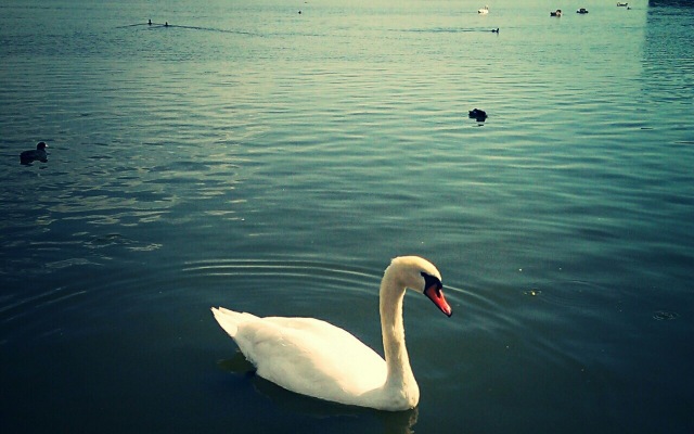 Гостевой Дом Coral