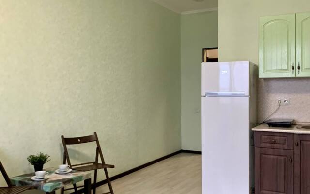 Studiya V Novostroyke Flat