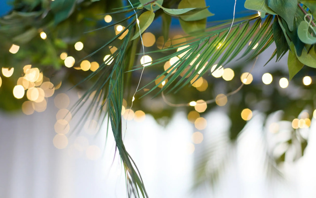 Квартира Апартаменты в стиле пляжа Бали MaldivesInMoscow