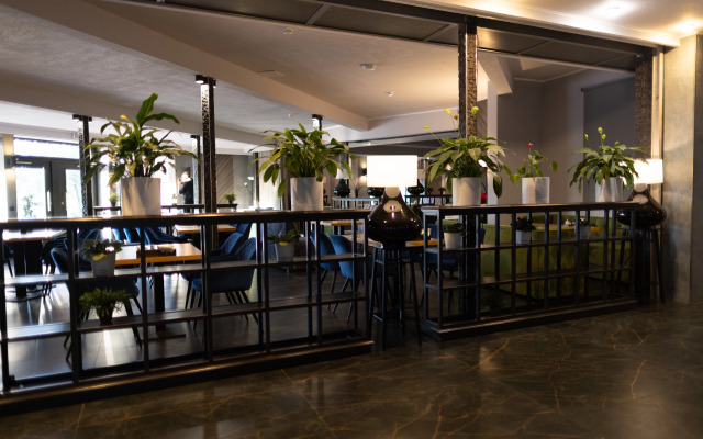 Hotel Aviator Sheremetyevo