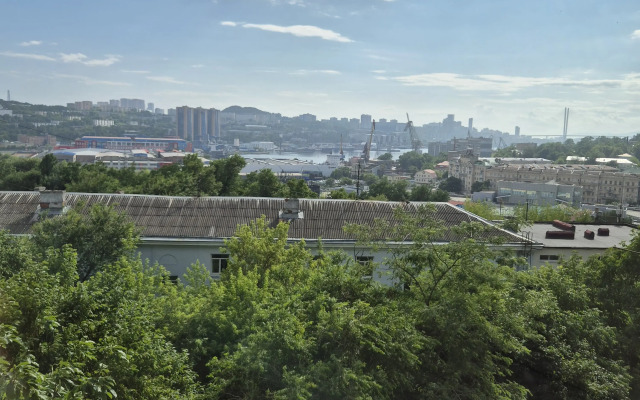 S Novym Remontom Nevelskogo Flat