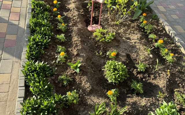 Квартира на Пархоменко 8