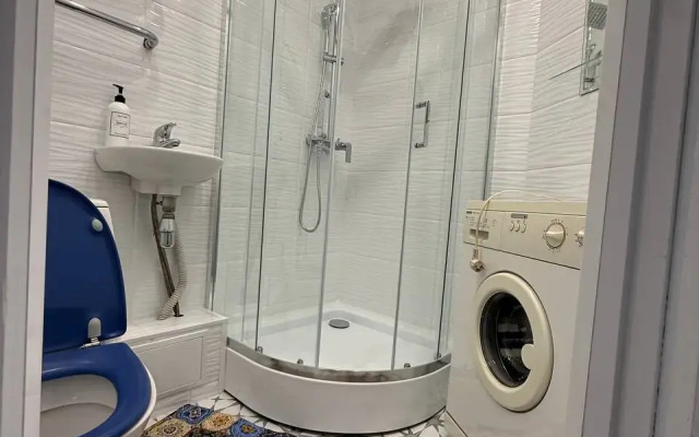 Апартаменты Дубровинского 104