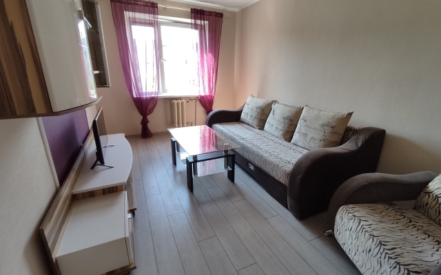 Prostornyie Na Artillerijskoj Apartments