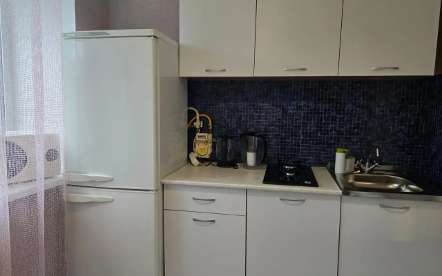 Dvukhkomnatnaya Kvartira Vozle Zhd Vokzala Flat