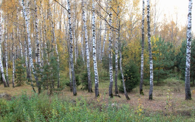 Vladimir Country Club