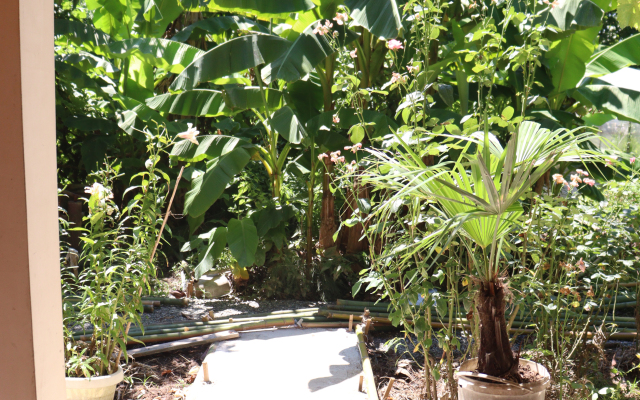 Citrus Tree Guest house