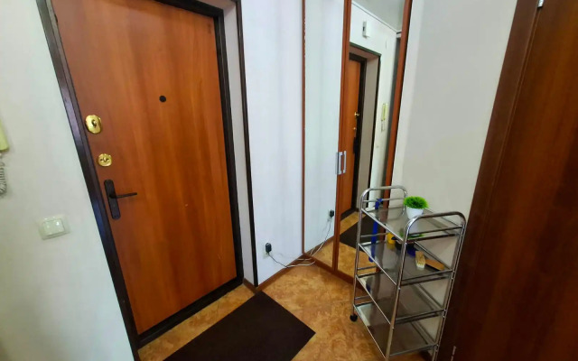 Uyutnaya kvartira v tsentre goroda Flat