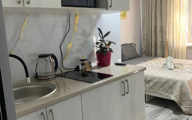 Uyutniye Apartamenty v Tikhom Rayone 2 Apartments
