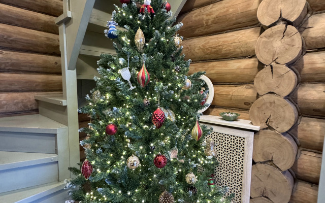 Частный дом Изба