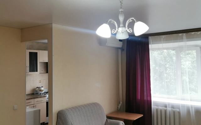 1-K Kvartira v Tsentre Ryadom s Parkom Flat