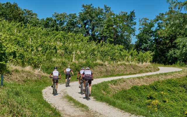 Вилла Holiday House Podhamer Marijan