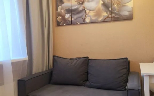 Yevrodvushka S Otlichnym Remontom Flat