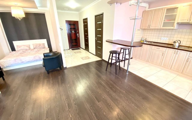 Bolshaya Studiya V Novostroe Apartments