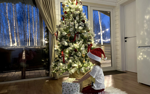 Частный дом ЕлкиШале с баней и чаном