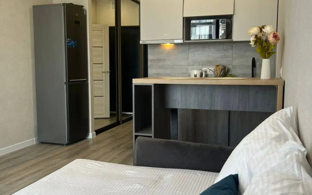 Novaya studiya v Sibir House Apartments