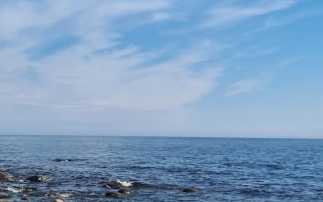 Гостевой дом Лисий берег