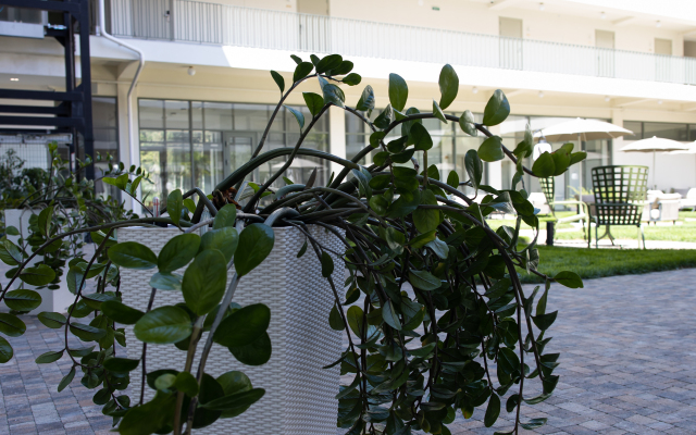 Hotel Portoritsa