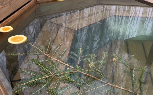 Частный дом A-фрейм в лесу Зеленого города