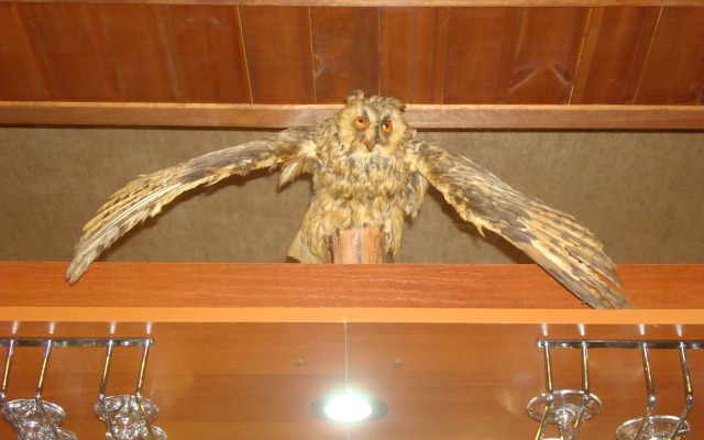 База Отдыха Заповедная Сказка